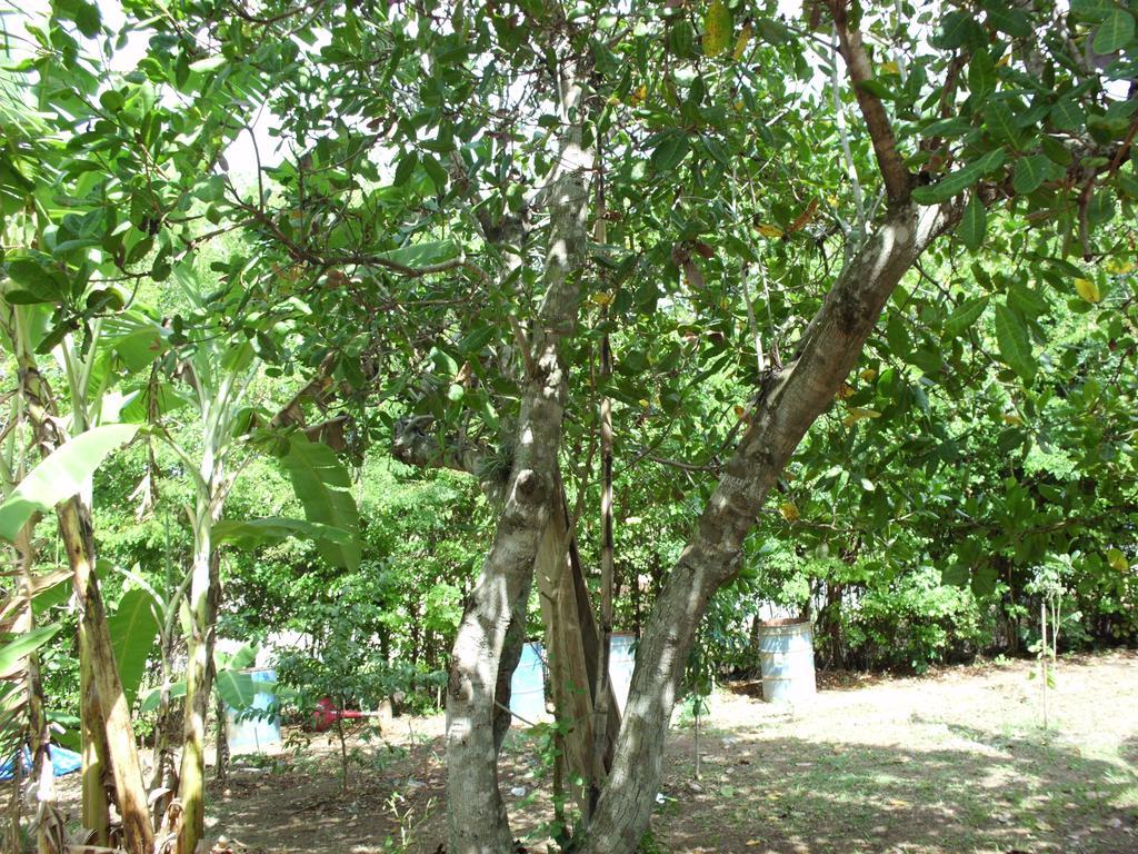 Pousada Pimenta Rosa Saquarema Exterior foto